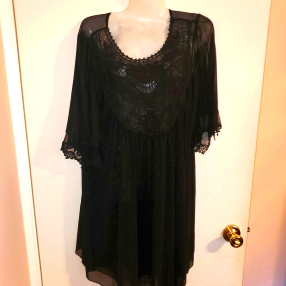 Sheer dress or top